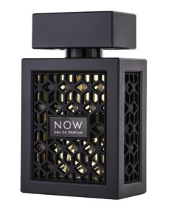 (plu00012) - Apa de Parfum Now, Rave, Barbati - 100ml (plu00012) - Apa de Parfum Now, Rave, Barbati - 100ml