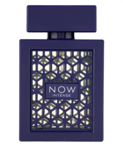 (plu00357) - Apa de Parfum Now Intense, Rave, Barbati - 100ml