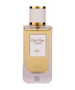 (plu05173) - Apa de Parfum Club Prive Extreme, Dina Cosmetics, Barbati - 100ml