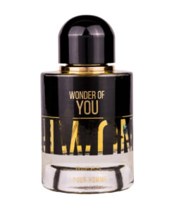 (plu00446) - Apa de Parfum Wonder Of You, Riiffs, Barbati- 100ml