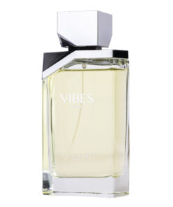 (plu05150) - Apa de Toaleta Vibes for Men, Louis Varel, Barbati - 100ml