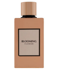 (plu00835) - Apa de Parfum L'Origine Valiance, Fragrance World, Unisex - 100ml